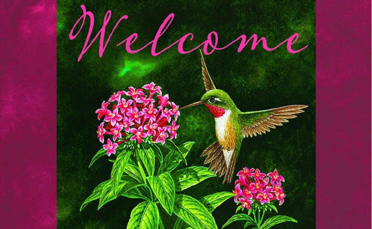 Hummingbird Retreat - Luxury Oceanview Apt, 7-Minute Walk To Beach Ocho Rios Luaran gambar