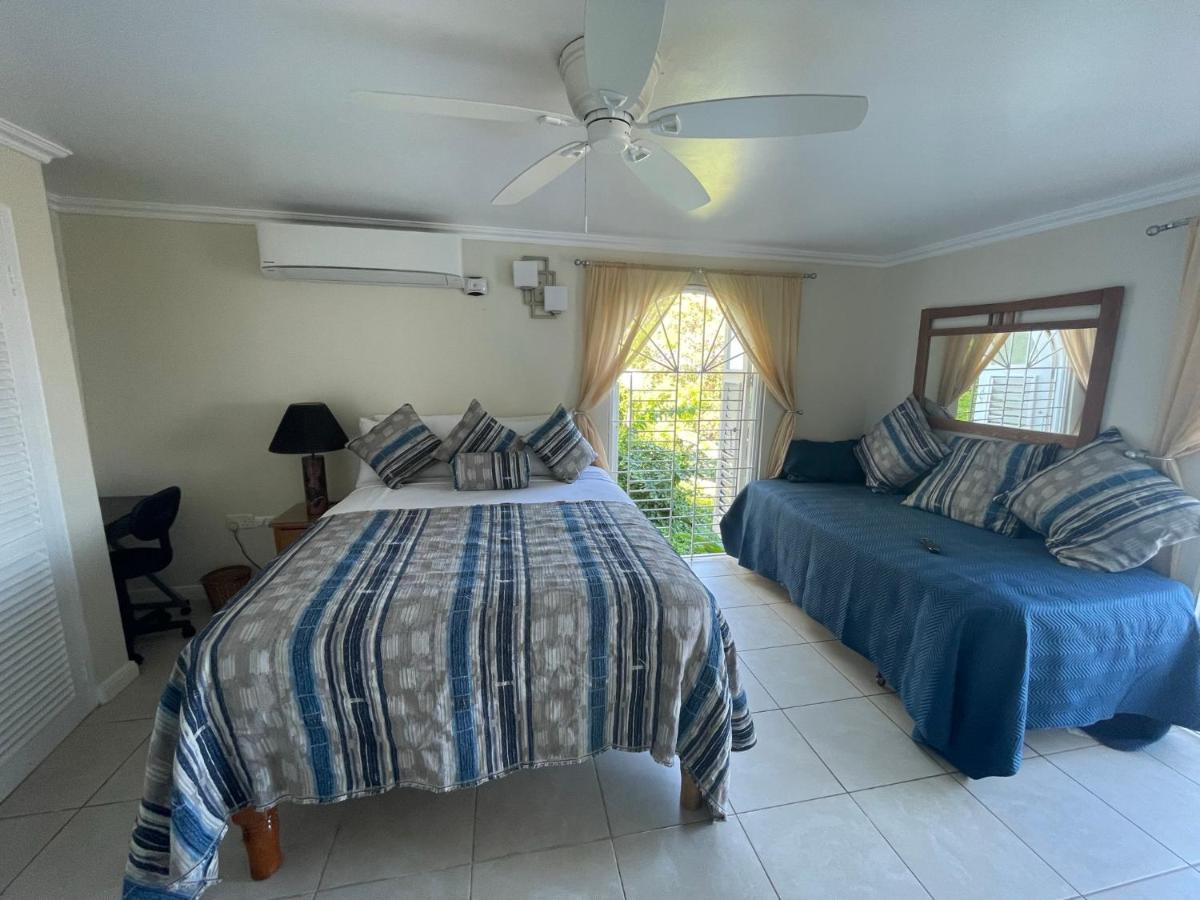 Hummingbird Retreat - Luxury Oceanview Apt, 7-Minute Walk To Beach Ocho Rios Luaran gambar
